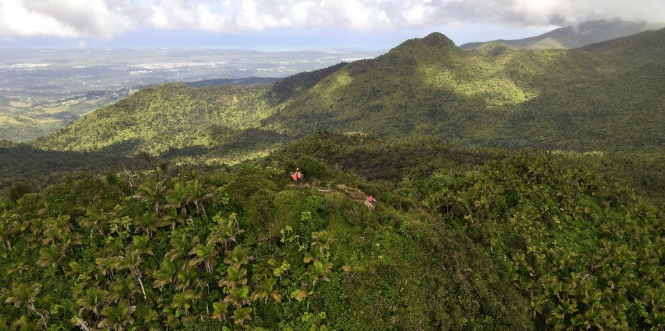El Toro Wilderness , , Puerto Rico